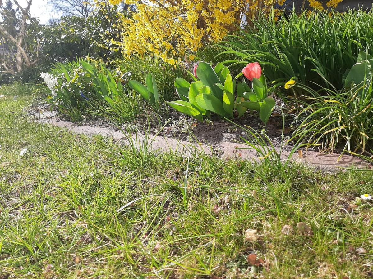 Gartenblick Trebbin Exterior foto